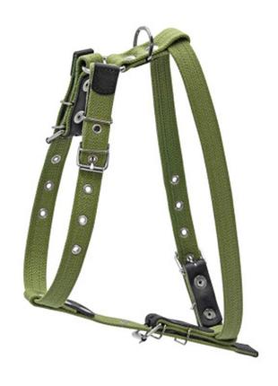 Шлей для собак collar для маленьких і середніх собак 36-57 см зелений (0635)2 фото