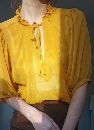 Горчичная полупрозрачная блуза, размер s1 фото