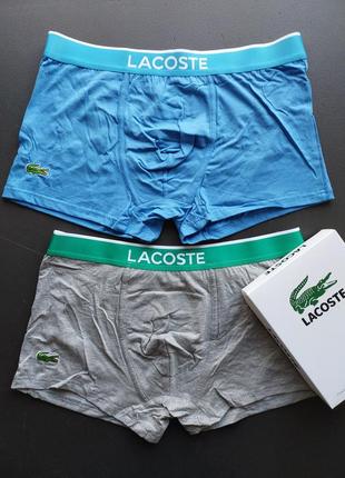 Подарунковий набір боксерів в стилі lacoste з 2 шт.