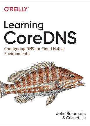 Learning coredns: configuring dns for cloud native environments, john belamaric, cricket liu