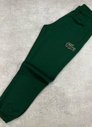 Чоловічі спортивні штани лакоста зелені / брендові спорт штани lacoste
