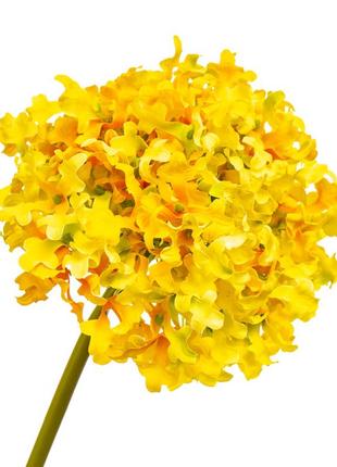 Цветок "гортензия шаровидная" жёлтая3 фото