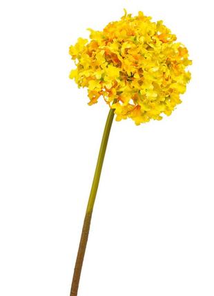 Цветок "гортензия шаровидная" жёлтая2 фото