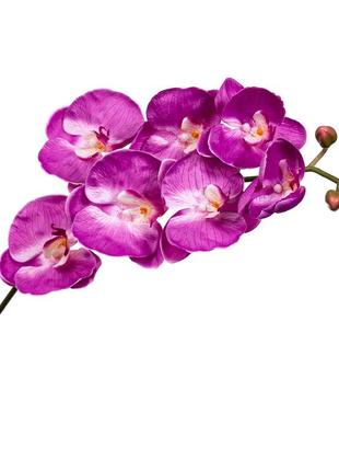 Орхидея малиновая 137см