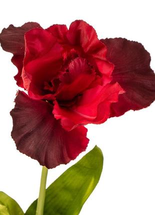 Цветок искусственный "ирис красный"2 фото