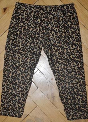 4 -5 років 110 см яскраві модні легінси лосини бриджі велосипедки дівчинці леопардові