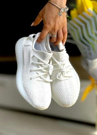 Кроссовки adidas adipure 11pro malaysia price guide 2016 кросівки