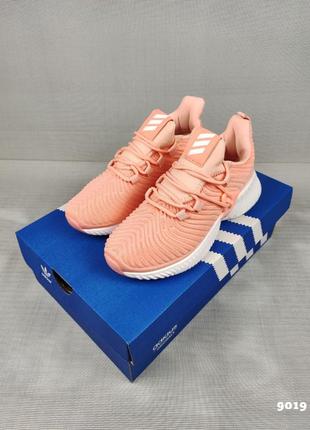 Adidas alphabounce instinct peach