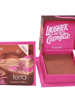 Румʼяна від benefit cosmetics terra