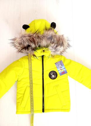 Зимний раздельный комбинезон детский комплект с капюшоном и ушками на зиму куртка штаны2 фото