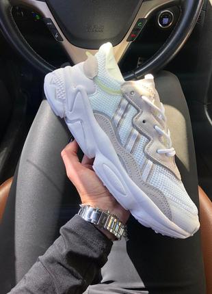 Кросівки adidas neo baseline sneaker womens pink shoes кроссовки