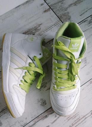 Кожаные кроссовки adidas, uncomfortable