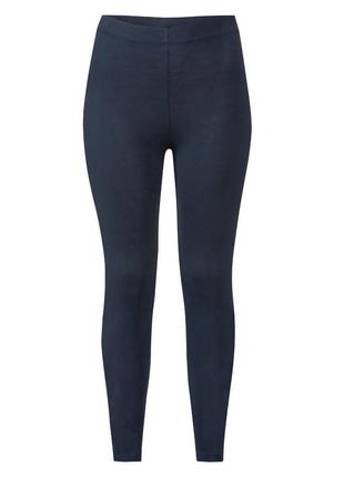 Леггинсы женские, размер xl/xxl, цвет синий