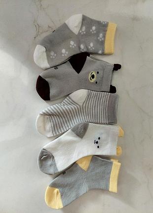 Набор носчков