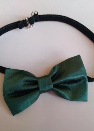 Галстук бабочка