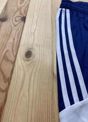 Спортивные шорты adidas climacool zne из новых коллекций3 фото