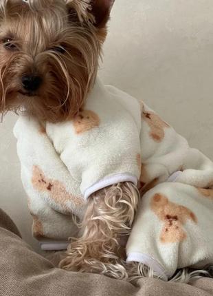 Пижамка для собак и котов😽1 фото