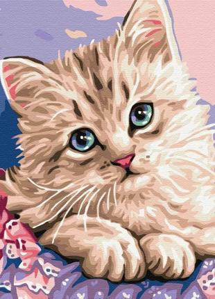 Картины по номерам "синеглазый котёнок" раскраски по цифрам.40*50 см.украина