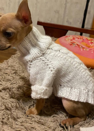 Білий светр для маленького собаки, светр для чихуахуа