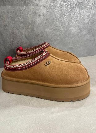 Жіночі ugg tazz slipper platform  люкс якість2 фото