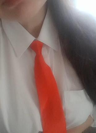 Галстук, галстук на молнии унисекс4 фото