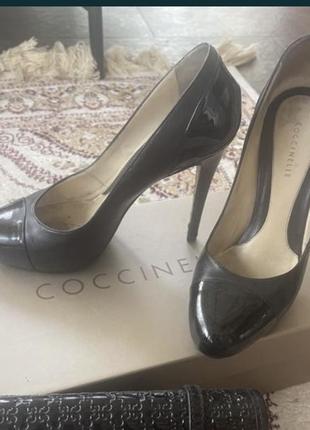 Туфли coccinelle