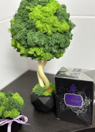 Парфумерна вода жіноча outspoken by fergie 50 ml avon, аутспокійний бай феджі ейвон2 фото