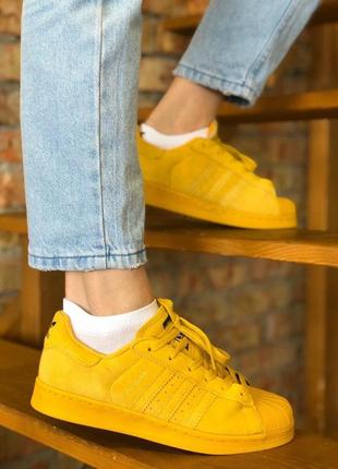 Кроссовки женские adidas superstar, желтые (адидас суперстар, адидасы, кросівки)3 фото