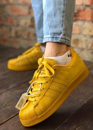 Кроссовки женские adidas superstar, желтые (адидас суперстар, адидасы, кросівки)