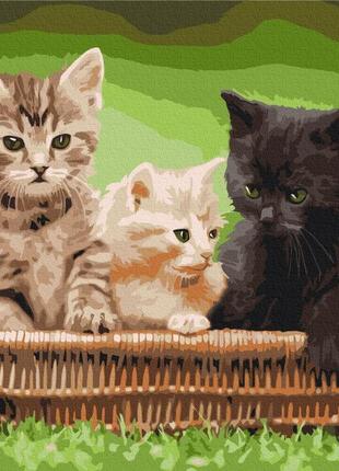 Картини за номерами "кошенята в кошику" розмальовки за цифрами.40*50 см.україна