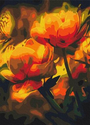 Картины по номерам "цветочный контраст" раскраски по цифрам. 40*50 см.украина