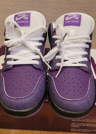 Кросівки nike sb dunklow lobster purple2 фото