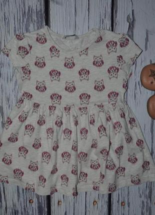 Футболка туника девочке 2 - 3 года рост указан 92 - 98 см совы