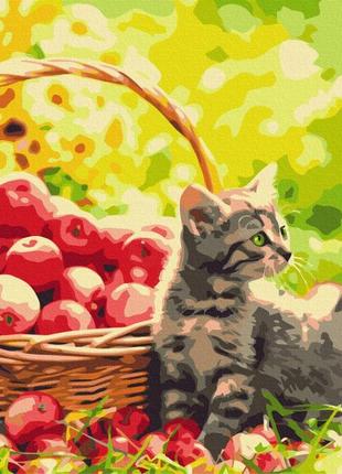 Картины по номерам "яблочный котик" раскраски по цифрам.40*50 см.украина