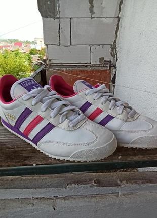 adidas dragon ortholite