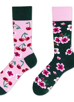 Разнопарные ,модные и яркие носки для девушек. длинные носки с принтом в одном стиле.унисекс. черешня. р 37-43