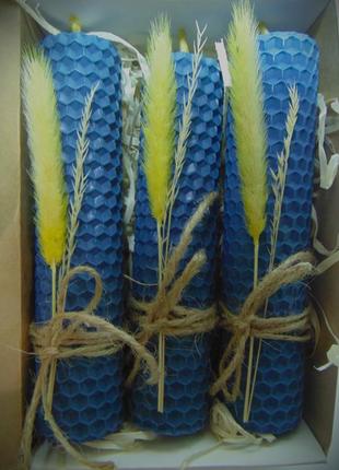 Набір натуральних декоративних свічок з вощини 3шт