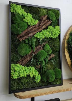 Панно мох+растения