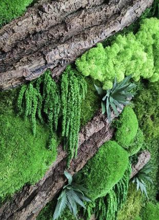 Панно мох+растения3 фото