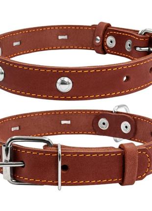 Ошейник collar одинарный 20мм/32-40см коричневый