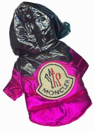 Moncler пуховик для тварин, собак, куртка