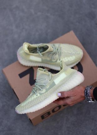 Кросівки adidas yeezy boost 350 antlia кроссовки1 фото