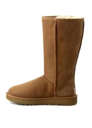 Ugg оригинал 38 розмір ( на стопу 24 см)3 фото