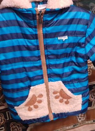 Осінь-весна для дому.