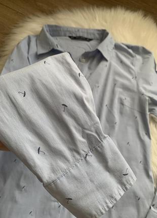 Базовая рубашка от zara, s-m, новая, кофта, блузка3 фото