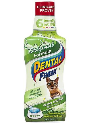 Рідина synergylabs dental fresh cat проти зубного нальоту та запаху з пащі кішок 0.237 л (736990000101)