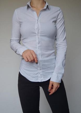 Жіноча біла сорочка в чорний дрібний горох/ крапочку, розмір 42/ s, zara3 фото