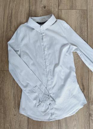 Жіноча біла сорочка в чорний дрібний горох/ крапочку, розмір 42/ s, zara4 фото