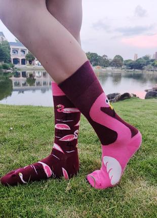 Разнопарные ,модные и яркие носки для девушек. длинные носки с принтом в одном стиле.унисекс. фламинго р 37-434 фото