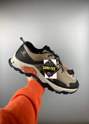 Salomon x raise 2 gtx brown